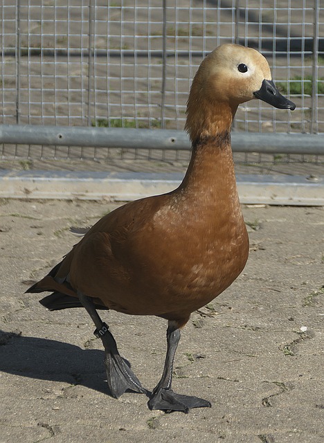 她都认真分