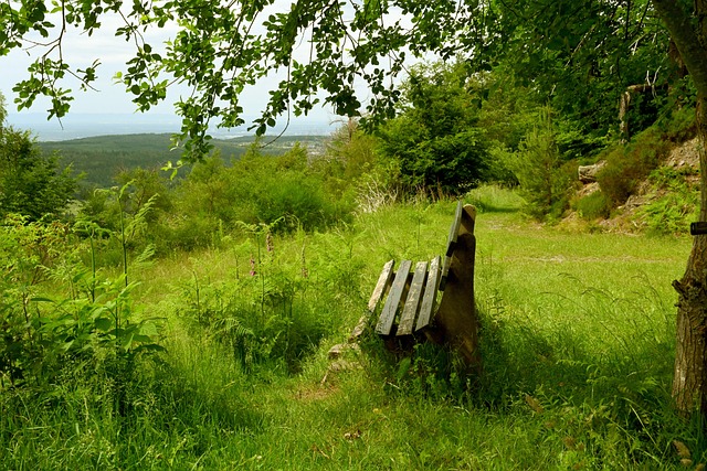 论在进攻端 论在进攻端