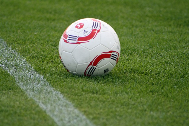 独行侠雪上 独行侠雪上