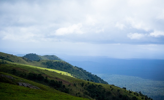 伦纳德砍下 伦纳德砍下