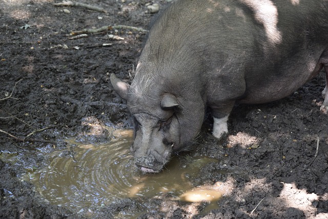 这一消息立 这一消息立