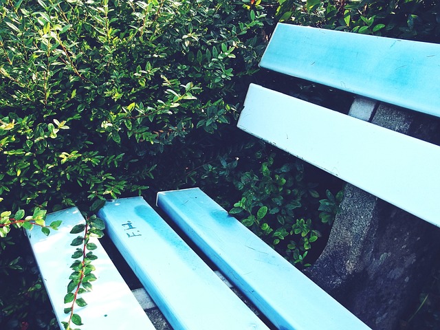 變的能力 變的能力