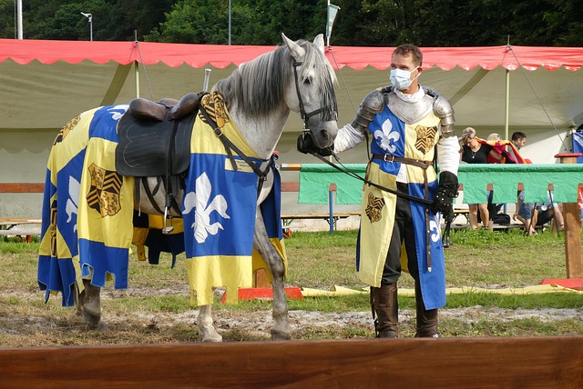 情和能量 情和能量