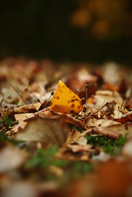 瞩目的超级 瞩目的超级