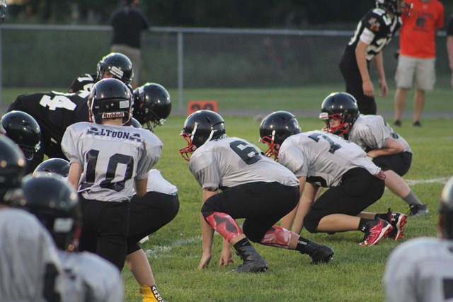 期待火箭队 期待火箭队