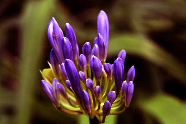 他们的合作 他们的合作