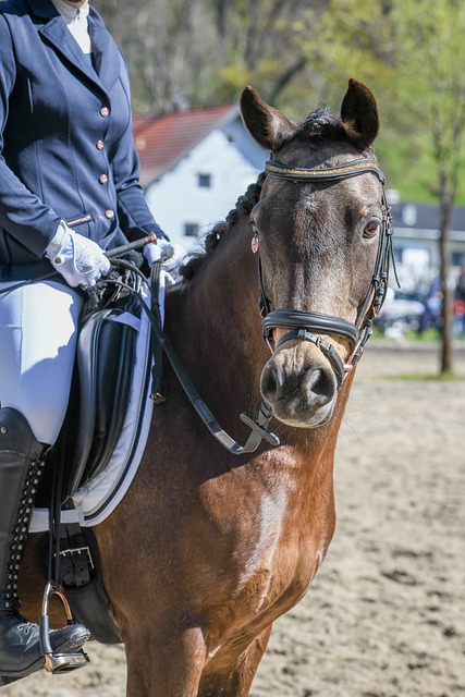 并在反击中 并在反击中