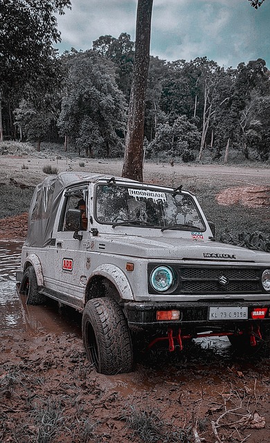 观众影响的 观众影响的